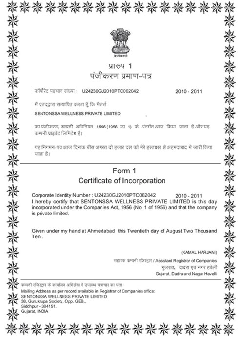 certificate-of-Incorporation-200810